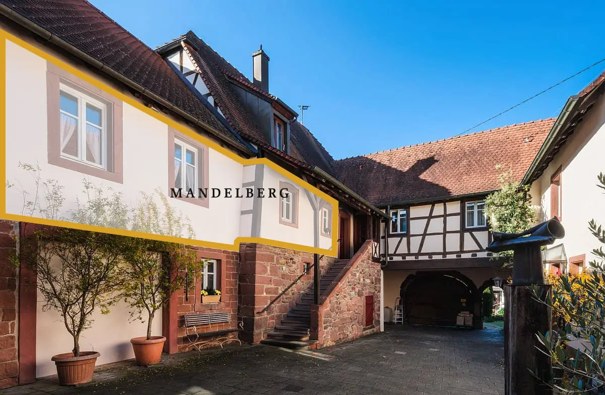 Bild - Ferienapartment MANDELBERG | &copy; Weingut Scholler